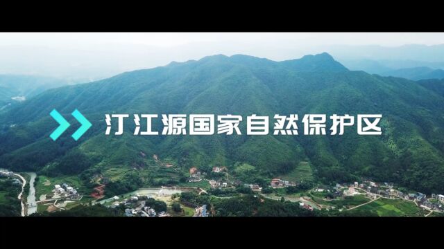 汀江源国家自然保护区