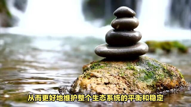 大道天成:追求自然的生活方式,是现在人们向往和追求的