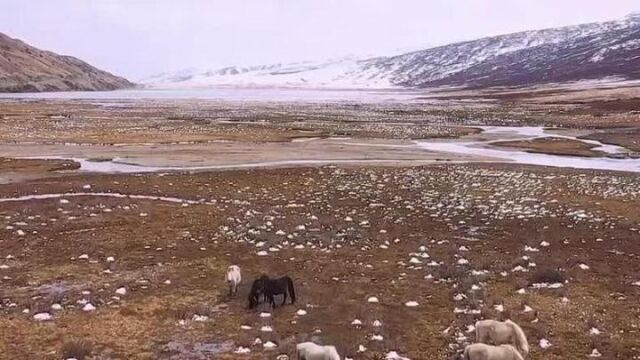 走进“太阳部落”四川石渠,感受雪域高原的美景