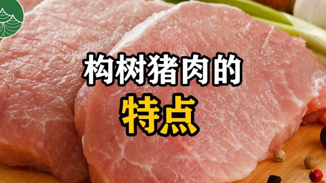 构树猪肉的特点