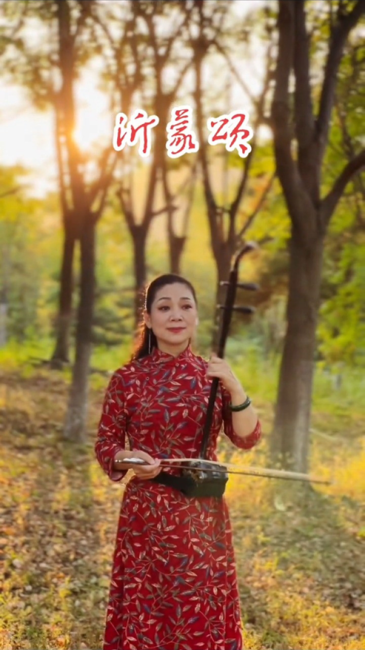 #爱红老师_一首非常好听的老歌,沂蒙颂#沂蒙颂二胡
