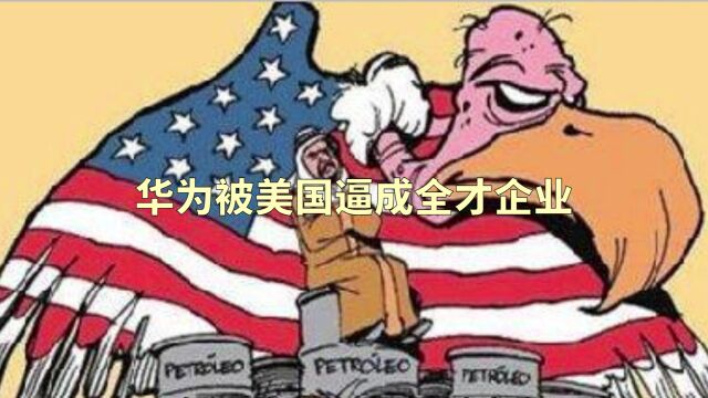 华为被美国逼成全才企业