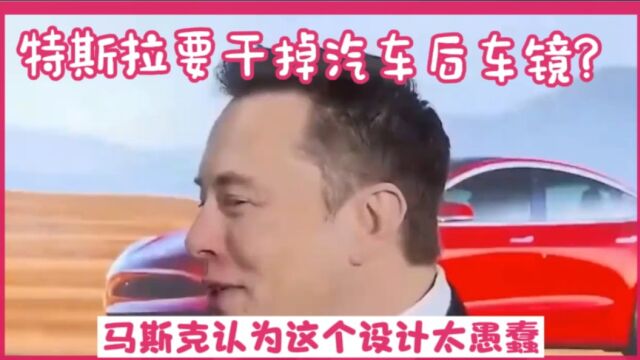 特斯拉要干掉汽车后视镜?马斯克回复网友:这个后视镜设计太愚蠢了