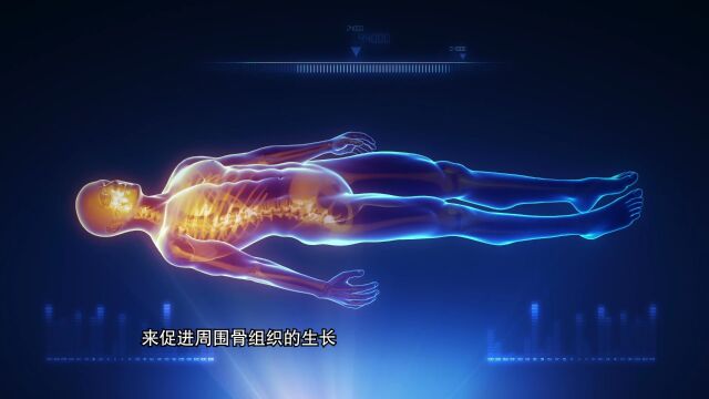 聚焦“湾高赛”三:以赛促“转”, 搭建湾区转化平台