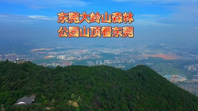 大岭山顶瞭望大东莞,