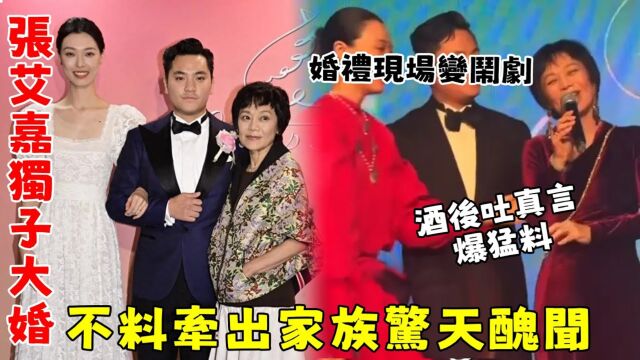 张艾嘉独子大婚! 不料婚礼现场,张艾嘉酒后吐真言爆猛料,牵出家族惊天丑闻,儿子王令尘拦都拦不住!