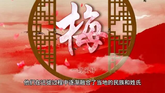 黑龙江的其他地区梅氏支系有哪些?你知道吗?