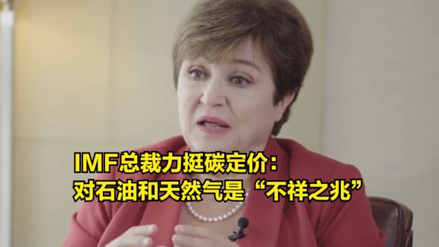 IMF总裁力挺碳定价:对石油和天然气行业是“不祥之兆”