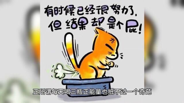 “释放执着,拥抱快乐”