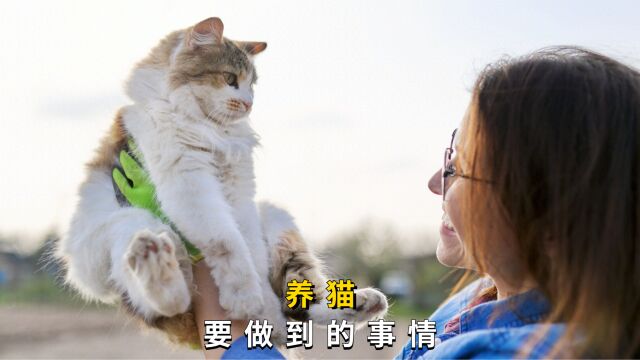 想把猫咪养好,一定要做这5件事!