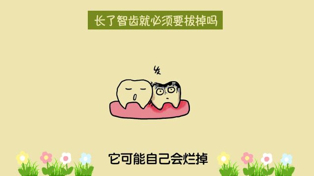 长了智齿就必须要拔掉吗