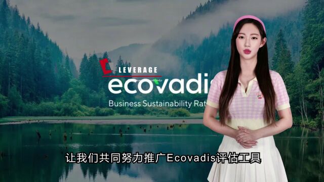 leverage供应链资深审核员莱莱专题分享Ecovadis企业社会责任评估工具对企业的帮助