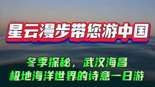 冬季探秘,武汉海昌极地海洋世界诗意一日游