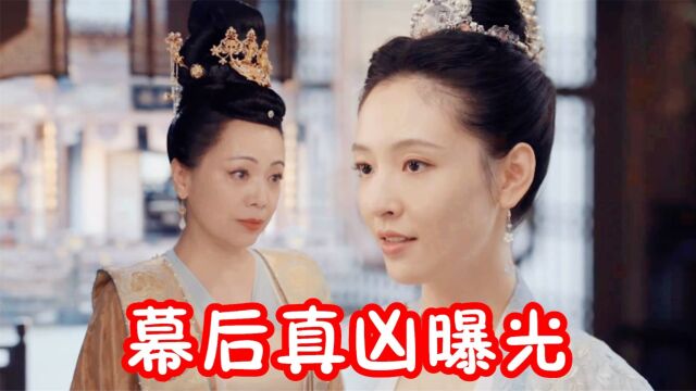 九义人:幕后真凶曝光!宁国公夫人丧心病狂被孟宛戳穿,刘薪一招反杀