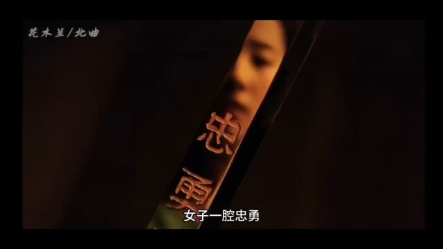 人力232团队