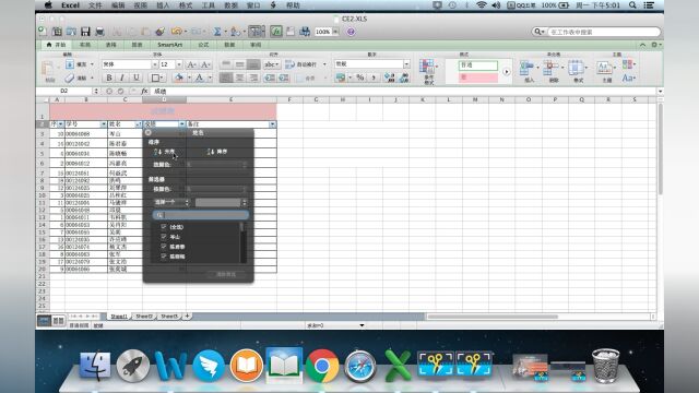 苹果电脑Excel之筛选设置