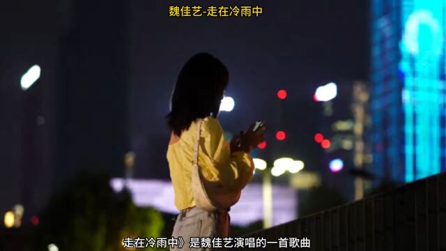 《走在冷雨中》伤感歌曲 风又摇醒昨夜的梦心内泛起阵阵隐痛眼眶微肿 染着落日的红藏好刚哭过