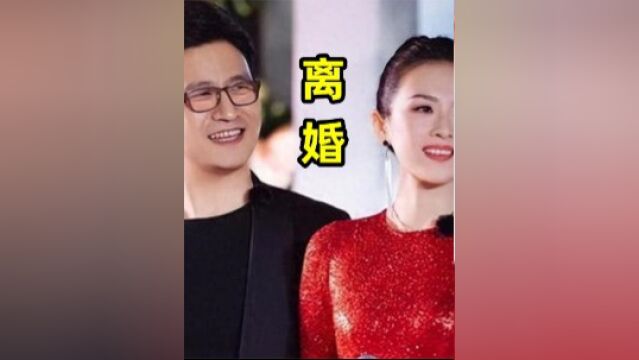 汪峰章子怡被曝已离婚,女儿归汪峰儿子归章子怡,离婚原因被曝光 #汪峰章子怡#微视生活家