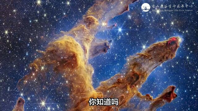 肠道菌群移植:健康微生物“换装”治疗肠道疾病