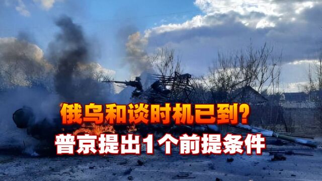 俄乌和谈时机已到?普京提出1个前提条件,俄罗斯已做好最坏准备