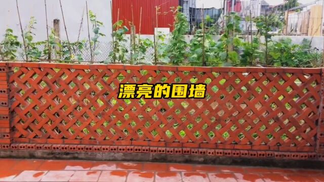 这样独特砌建围墙的技术你见过吗?真是高手在民间啊