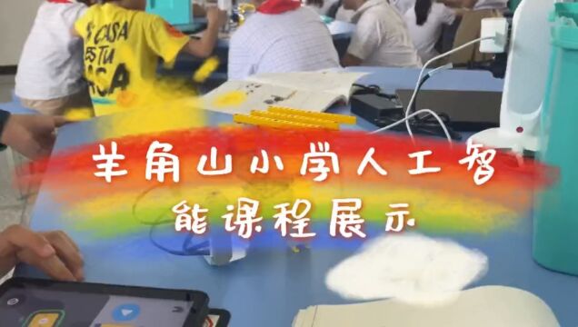 羊角山小学人工智能课程展示