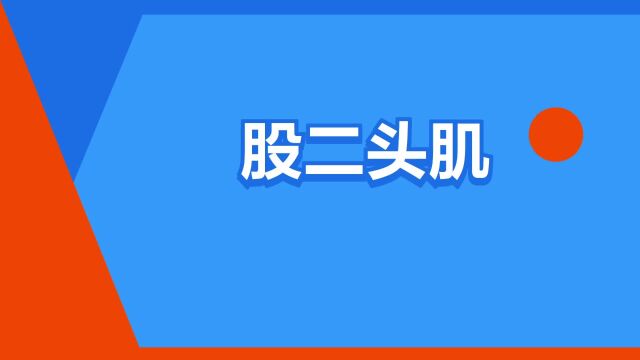 “股二头肌”是什么意思?