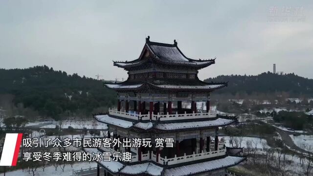 山东嘉祥:漫天雪花 与你共享