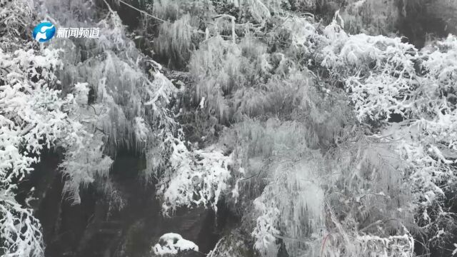 河南新乡出现冰粒 冻雨天气