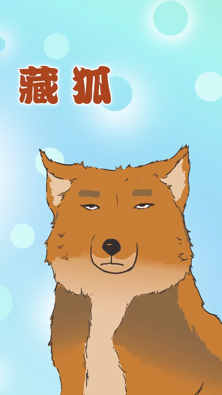 藏狐:"我最后的叫声是认真的"