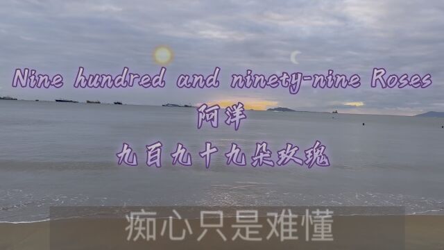 Nine hundred and ninetynine Roses #阿洋 #九百九十九朵玫瑰