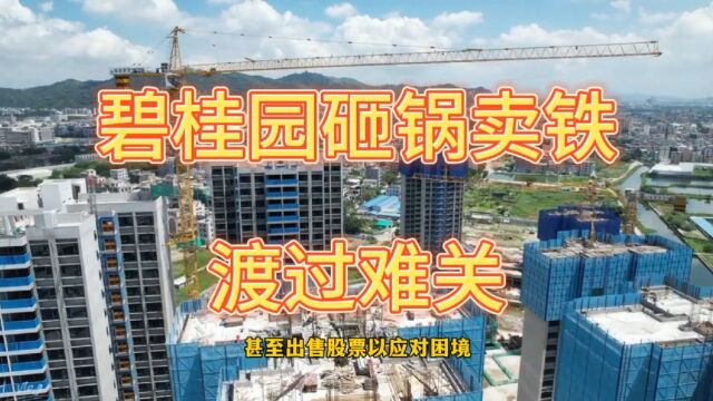 碧桂园杨惠妍:家族“砸锅卖铁”支持公司,明年交付量预计超过40万套