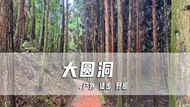 重庆周边徒步线路推荐,大圆洞国家森林公园徒步,全程10公里,走完腿已废