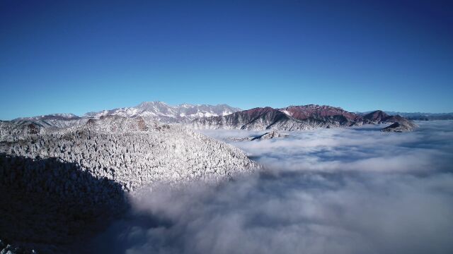 西岭雪山ⷨŠ𑦰𔦹𞦗…游度假区