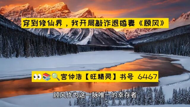 穿到修仙界,我开局敲诈退婚妻《顾风》小说在线阅读○全章节