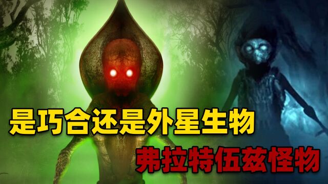 美国弗拉特伍兹怪物,在流星坠落后出现,是巧合还是外星生物?