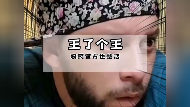 王者#游戏#整活《王了个王》