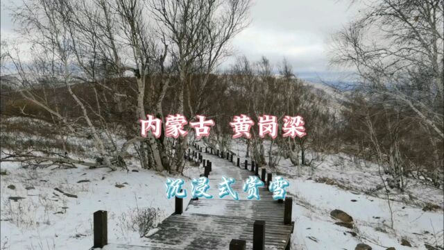 自驾游内蒙古黄岗梁,站在山顶赏漫山雪景,快冻僵了但真的很美!