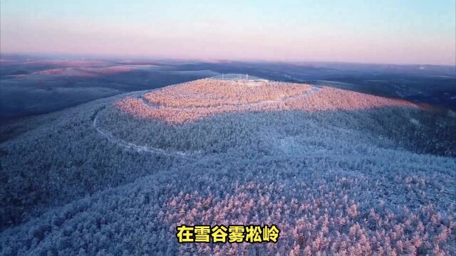 中国雪谷雾凇奇观