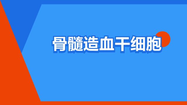 “骨髓造血干细胞”是什么意思?