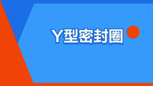 “Y型密封圈”是什么意思?