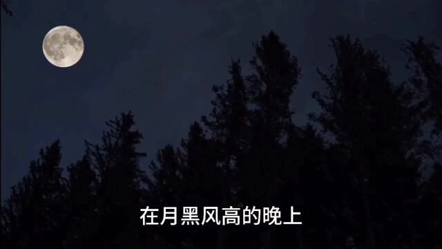 一个能让黑暗无处遁形的“黑”科技——夜视仪