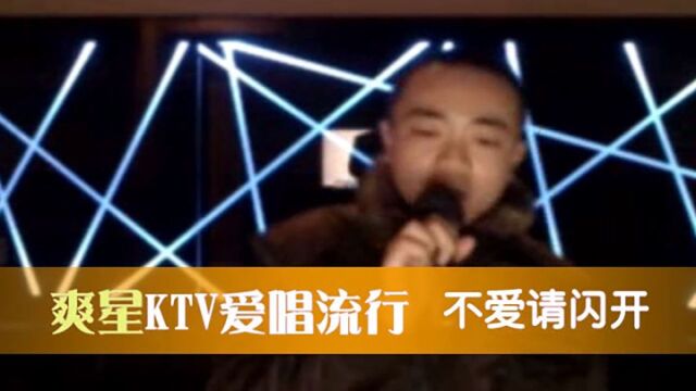 爽星KTV爱唱流行2010