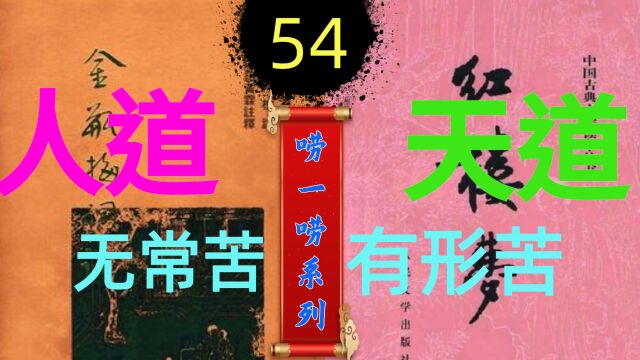 【金瓶梅54】探究《金瓶梅》与《红楼梦》真相(下)