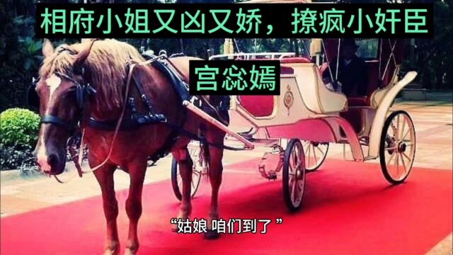 【穿书】相府小姐又凶又娇,撩疯小奸臣(宫惢嫣)热门古言全文