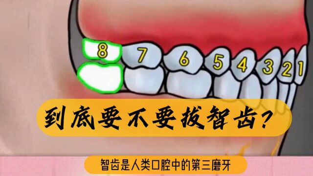 到底要不要拔智齿?