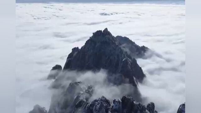 安徽黄山:雪后初霁,雾凇晶莹