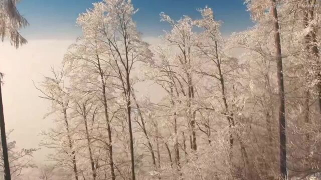 烟雾氛氲水殿开,暂拂香轮归去来