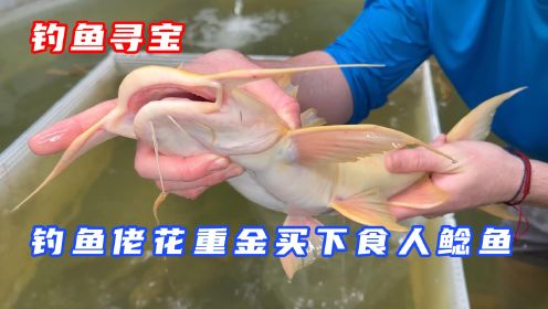 鲍比一掷千金购买一条食人鲶鱼