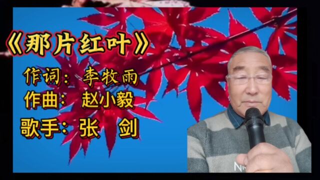 张剑演唱《那片红叶》我和你一起看红叶满天浓情如酒醉了片片红叶枫叶情